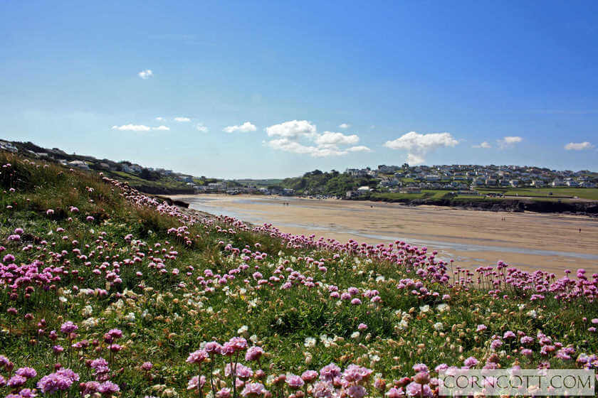 Cornish Traditional Cottages special offers (11)