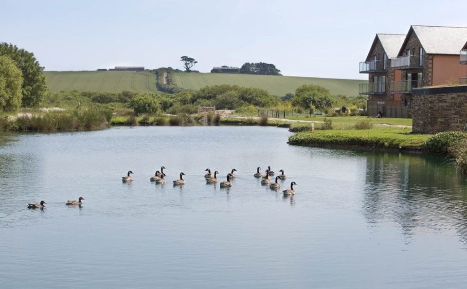 Retallack Resort & Spa Cornwall (9)