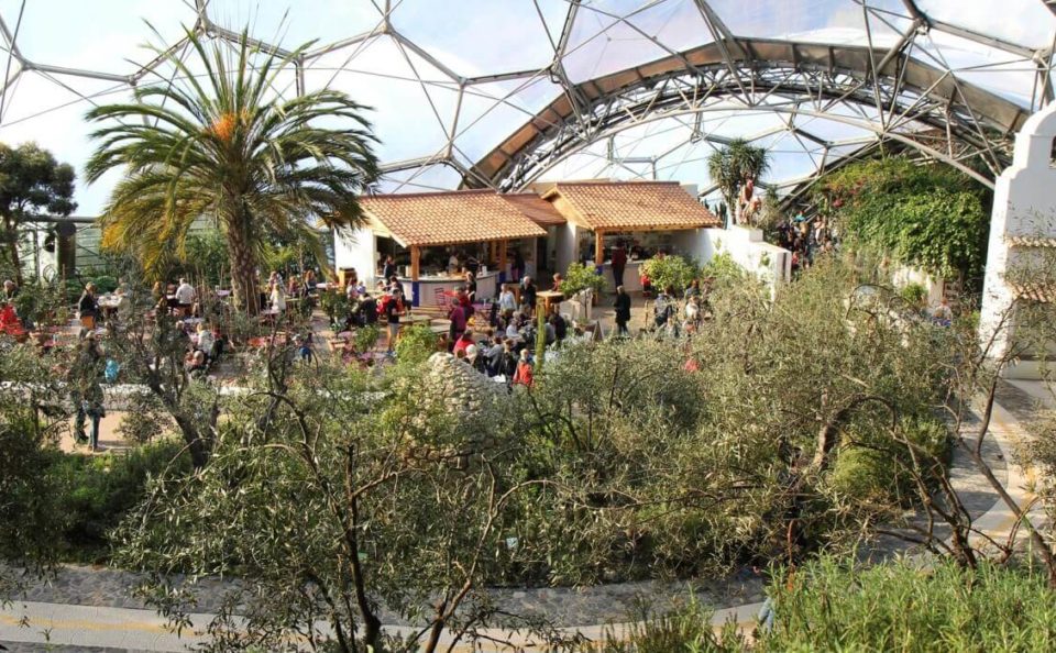 Eden Project Med Terrace restaurant