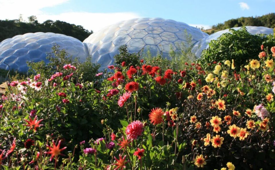 Eden Project biomes