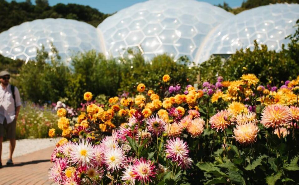 Eden Project outdoor biomes