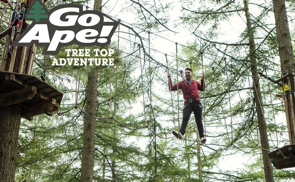 Go Ape vouchers (3)