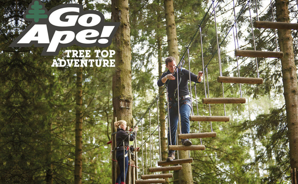 Go Ape vouchers (4)