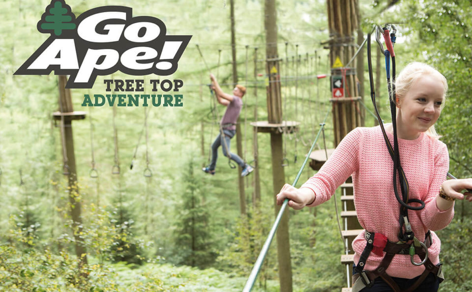 Go Ape vouchers (5)