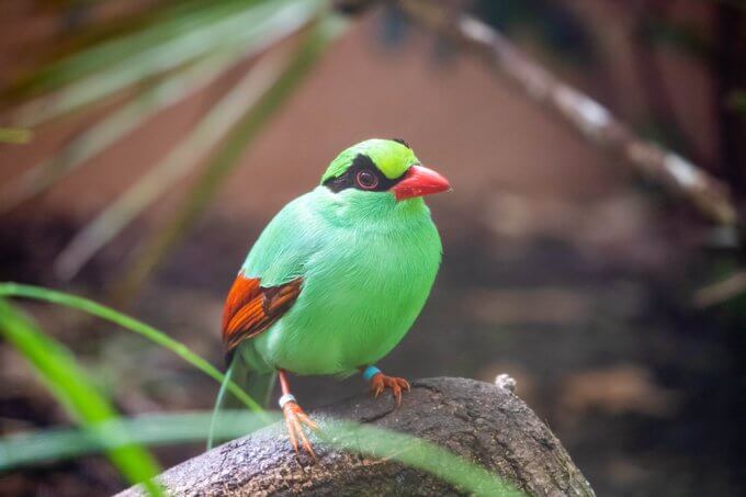 Newquay Zoo Cornwall (11)