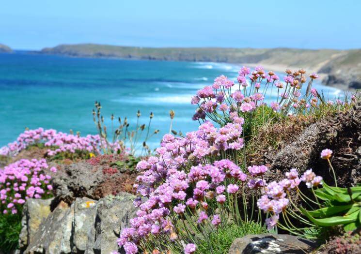 Experience Cornwall Tours (4)